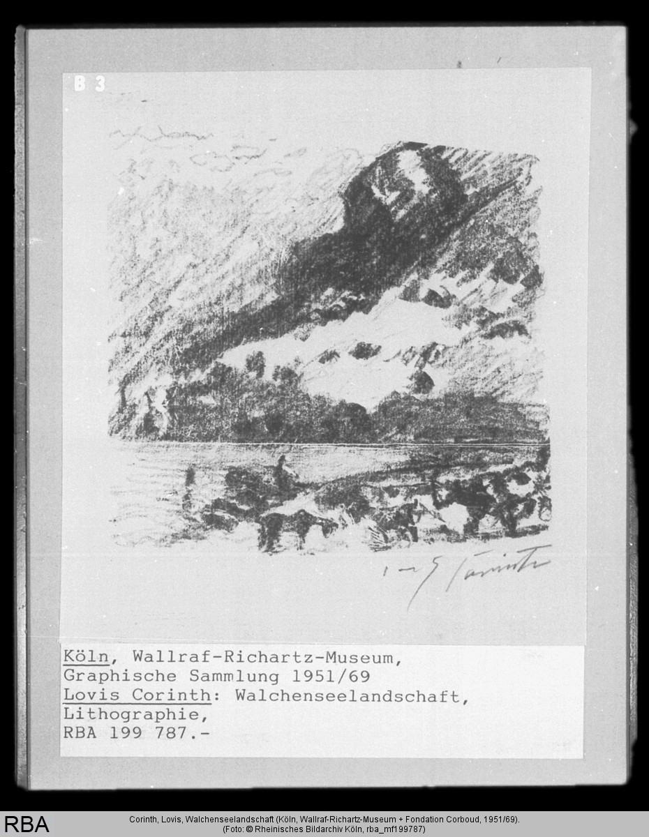 Walchenseelandschaft